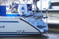 Bavaria Caribic 42