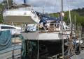 Boro Temptress 34'