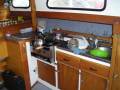 Boro Temptress 34'