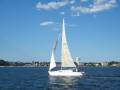 Farr 36 Sloop