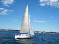 Farr 36 Sloop