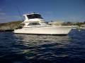 Caribbean 47 Enclosed Flybridge 1/2 Share