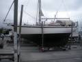 Tradewinds 33 "Dove"
