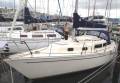 Cavalier 32 "Magic Lady"