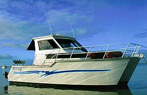 Aztec 34 Powercat