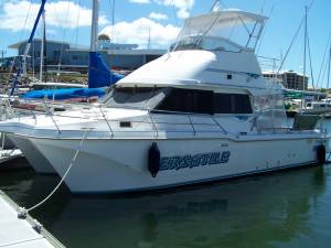 Cougar Cat Flybridge