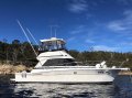 Riviera 36 twin cabin flybridge cruiser.