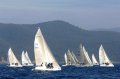 Melges 24