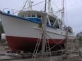 Timber Prawn Trawler With Licence