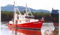 Steel Prawn Trawler