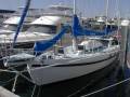 Shorty Cameron Timber Ketch