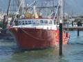 Steel Prawn Trawler With Licence