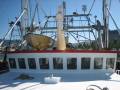 Steel Prawn Trawler With Licence