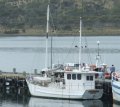 39FT HUON PINE COMMERCIAL OR PLEASURE FISHING BOAT