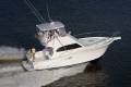 Luhrs 35 Convertible