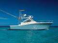 Luhrs 37 Open