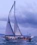 Pilothouse Motor Sailor 