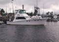 Cresta Flybridge Cruiser 