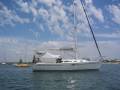 Catalina 310