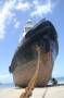 Tug/Workboat