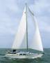 Catalina Morgan 440
