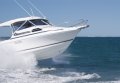 2400 Caribbean Runabout Hardtop 