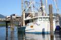 13.95m Steel Prawn Trawler