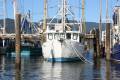 13.95m Steel Prawn Trawler
