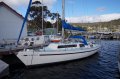 Mottle 33 "Serenity"