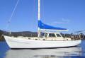 Salar 40