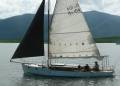 Huon Pine gaffer