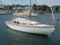 Duncanson 29