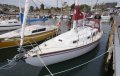 Duncanson 29 "Southern Minx"