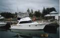 Striker 36 
