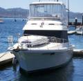 Riviera 34 