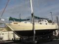 Roberts Steel Spray 37 feet.
