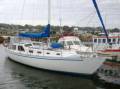 Challenger 41 