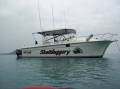 Norcat 33