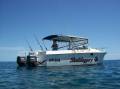 Norcat 33