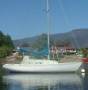 Contessa 25