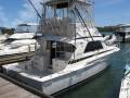 Bertram 37 Flybridge