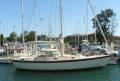South Coast 36 