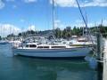 Adams Traditional 36 