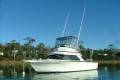 Bertram 28 