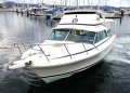 Bertram 25 "Bakkare"