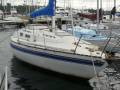 Viking 30