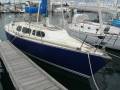 Mottle 33