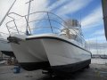 Leisure Cat Sports Cruiser "Flash Cat"