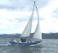 Pugh centre cockpit cutter rig 