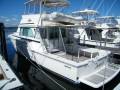 Bertram 42 [extended to 45] flybridge cruiser
